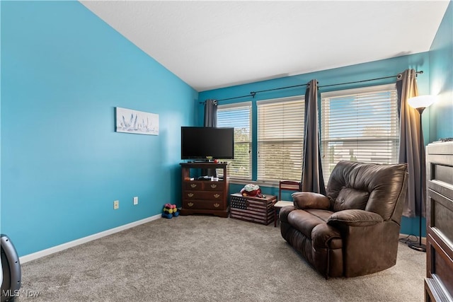 9244 Victoria Ln, North Ridgeville, OH 44039 - photo 27