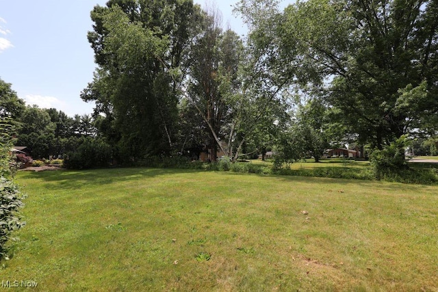 1593 Manor Dr, Salem, OH 44460 - photo 5
