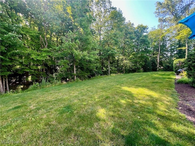824 Wildberry Cir, Avon Lake, OH 44012 - photo 25