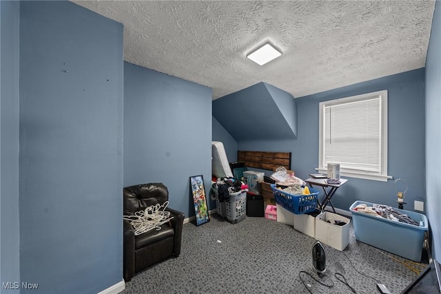 782 Ardella Ave, Akron, OH 44306 - additional living space with carpet flooring and a textured ceiling