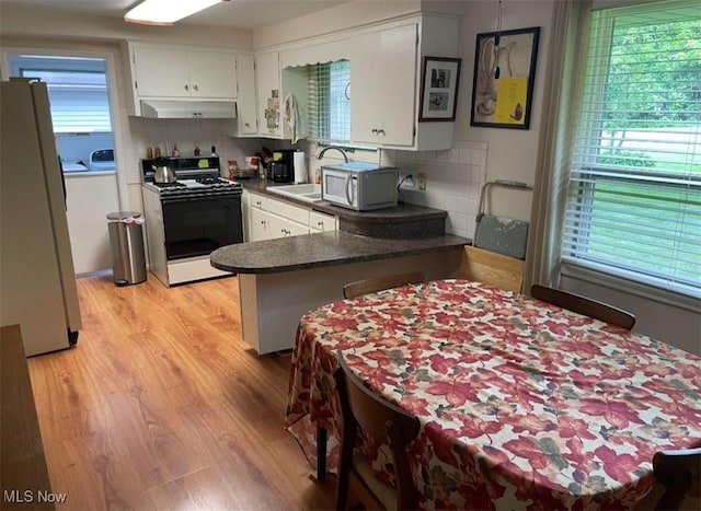 3590 Allendale Ave, Austintown, OH 44511 - kitchen with white appliances, under cabinet range hood, a peninsula, light wood finished floors, and dark countertops