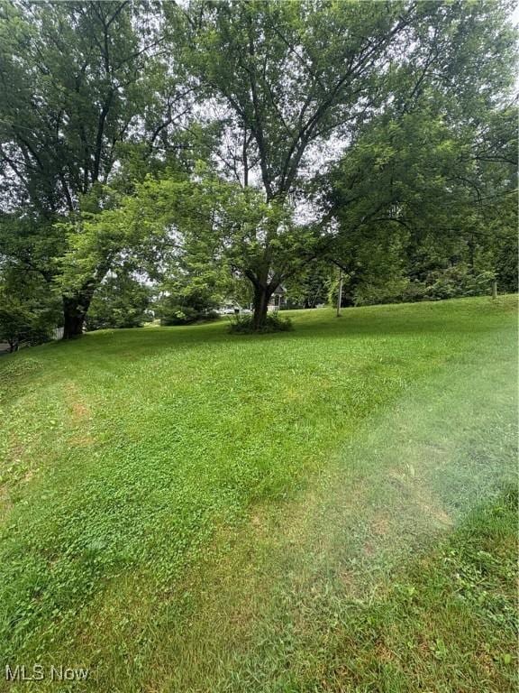 156 College St, Scio, OH 43988 - photo 4