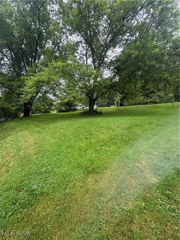 156 College St, Scio, OH 43988 - photo 5
