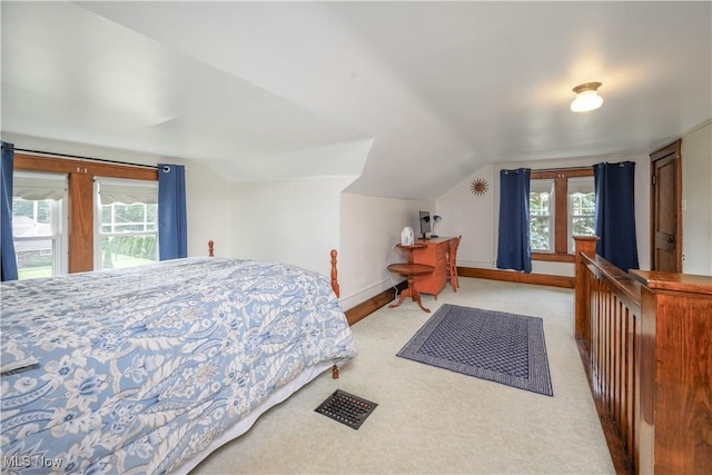 312 S Cleveland Ave, Mogadore, OH 44260 - bedroom with carpet flooring, multiple windows, and vaulted ceiling