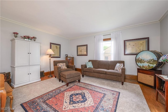 312 S Cleveland Ave, Mogadore, OH 44260 - living area with crown molding and light wood-style floors
