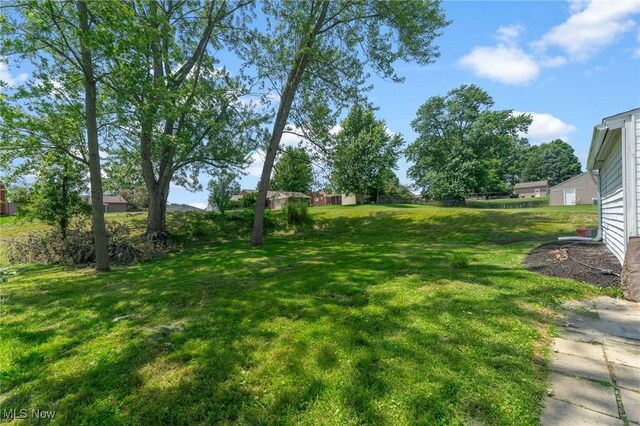 2413 W Manor Ave, Struthers, OH 44514 - view of yard