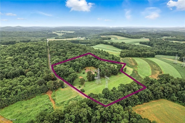 40591 Alderlick Rd, Wellsville, OH 43968 - photo 50