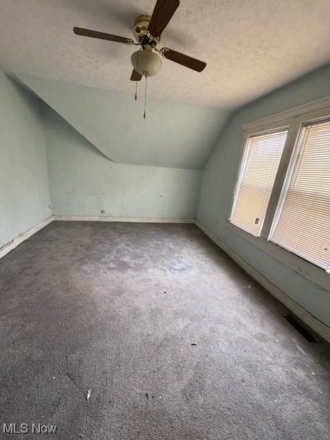 3454 Fulton Rd, Cleveland, OH 44109 - additional living space featuring lofted ceiling, carpet floors, a ceiling fan, and a textured ceiling
