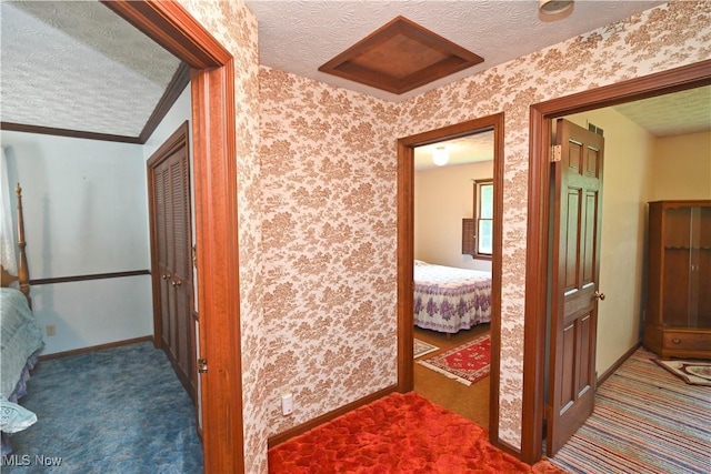 5735 Herbert Rd, Canfield, OH 44406 - hallway featuring a textured ceiling and carpet floors