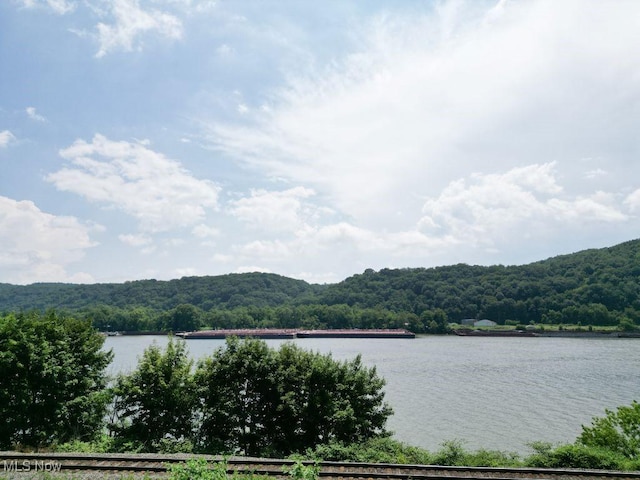 525 Riverside Ave, Wellsville, OH 43968 - water view featuring a forest