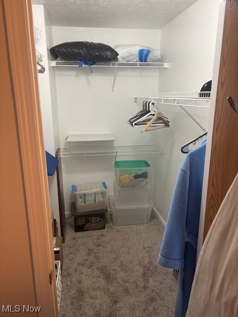 209 Potters Cir, Girard, OH 44420 - spacious closet featuring carpet flooring