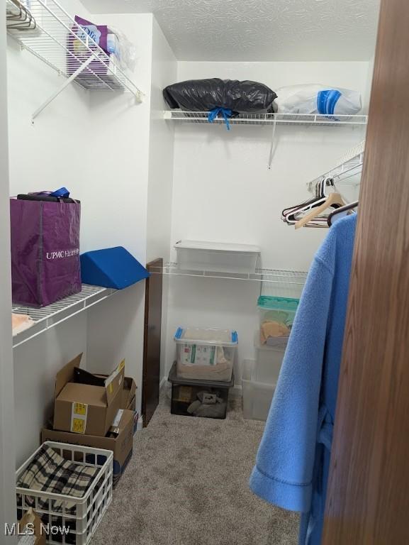 209 Potters Cir, Girard, OH 44420 - walk in closet featuring carpet flooring