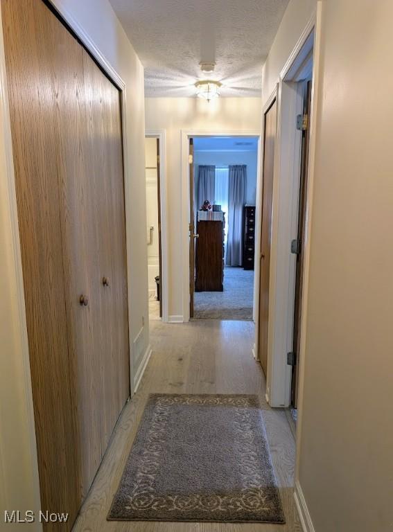 209 Potters Cir, Girard, OH 44420 - view of hall