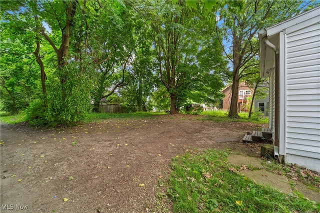 364 Campbell St, Akron, OH 44307 - view of yard