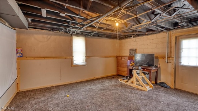 221 N 9th St, Cambridge, OH 43725 - below grade area featuring carpet floors