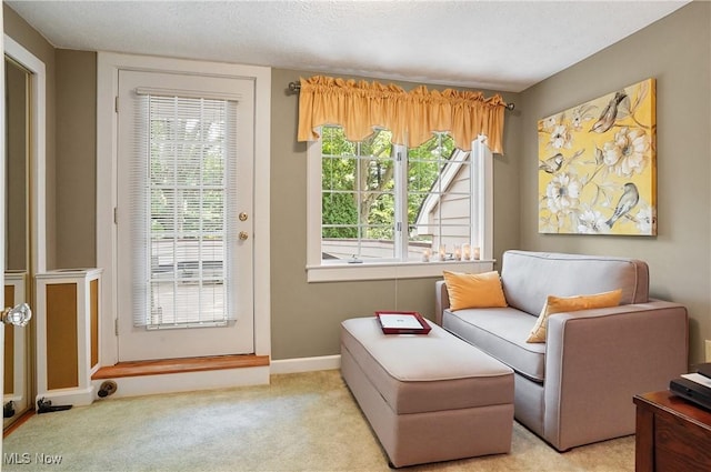 2925 Millboro Rd, Silver Lake, OH 44224 - living area with carpet and healthy amount of natural light