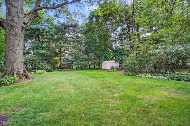 2925 Millboro Rd, Silver Lake, OH 44224 - view of green lawn with a storage unit