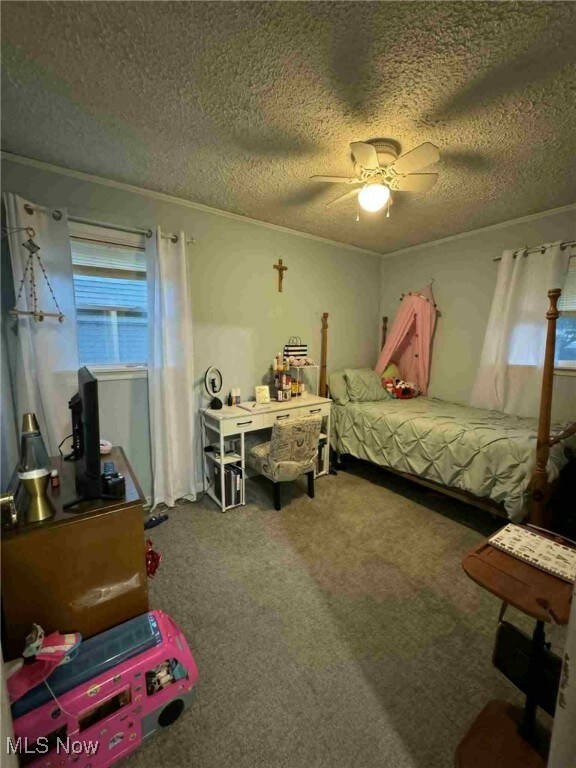 675 E 8th St, Salem, OH 44460 - bedroom with carpet floors, a textured ceiling, and a ceiling fan