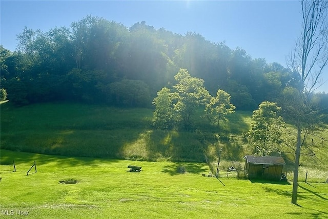 1321 Congo Arroyo Rd, New Cumberland, WV 26047 - view of green lawn featuring a shed