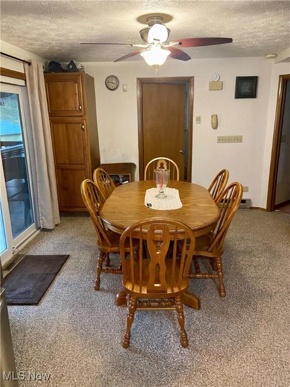 1321 Congo Arroyo Rd, New Cumberland, WV 26047 - dining area with a textured ceiling, light colored carpet, a ceiling fan, and plenty of natural light