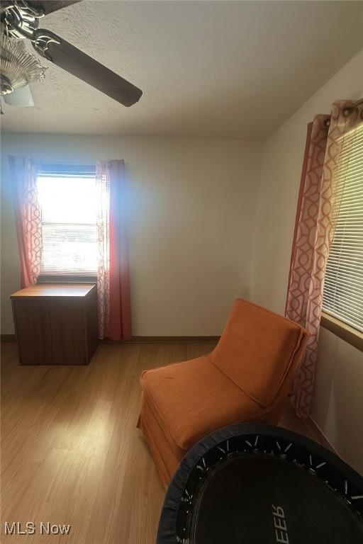 1321 Congo Arroyo Rd, New Cumberland, WV 26047 - sitting room featuring light wood-style flooring and a ceiling fan