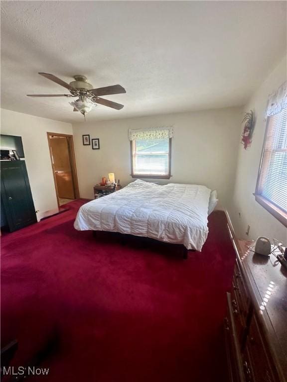 1321 Congo Arroyo Rd, New Cumberland, WV 26047 - bedroom with multiple windows, carpet floors, and a ceiling fan