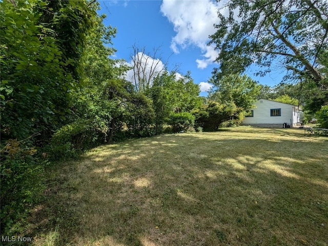 17005 Lipton Ave, Cleveland, OH 44128 - view of green lawn