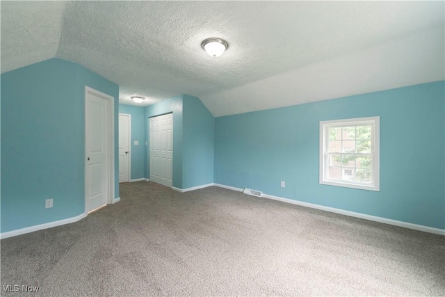 1022 Big Falls Ave, Akron, OH 44310 - additional living space with lofted ceiling, carpet floors, and a textured ceiling
