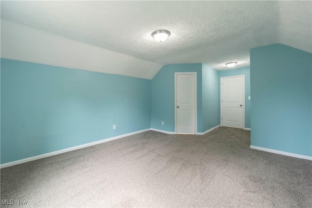 1022 Big Falls Ave, Akron, OH 44310 - bonus room with vaulted ceiling, carpet floors, and a textured ceiling