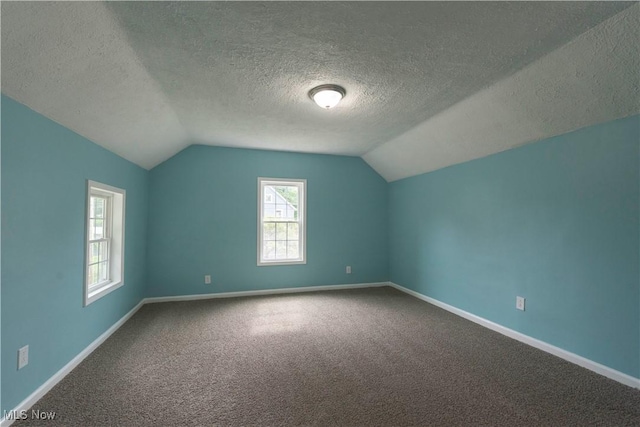 1022 Big Falls Ave, Akron, OH 44310 - bonus room with vaulted ceiling, a textured ceiling, and carpet