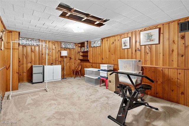 4095 W 161st St, Cleveland, OH 44135 - exercise area with light colored carpet and wood walls