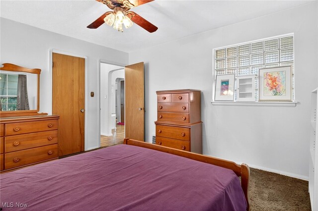 4095 W 161st St, Cleveland, OH 44135 - carpeted bedroom featuring multiple windows and a ceiling fan