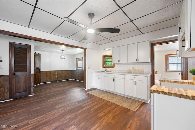 160 State St, Struthers, OH 44471 - kitchen featuring a ceiling fan, wooden counters, white cabinets, dark wood finished floors, and wainscoting