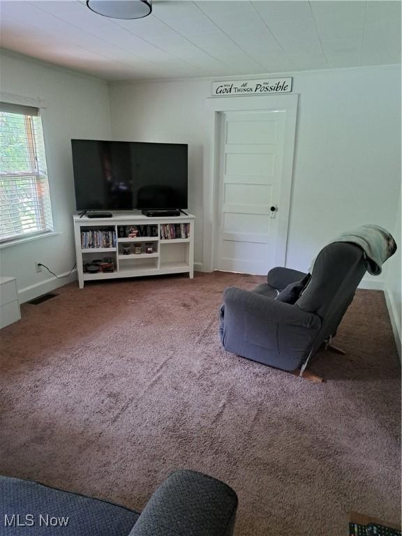 4016 State Route 7, Burghill, OH 44404 - living area with carpet floors