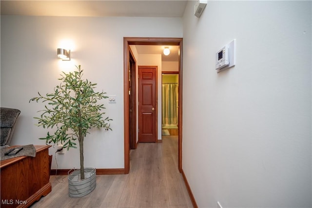 440 Lyons Ave, East Palestine, OH 44413 - hallway featuring light wood finished floors and baseboards