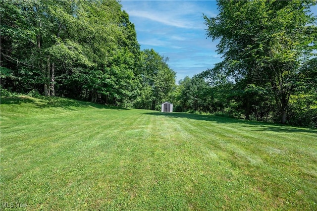 440 Lyons Ave, East Palestine, OH 44413 - view of green lawn with a storage unit and a view of trees