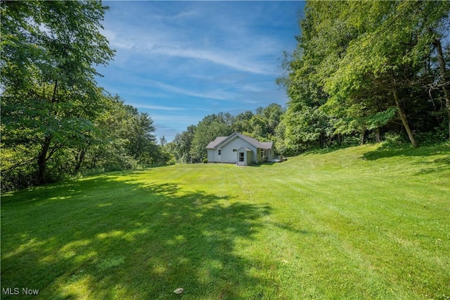 440 Lyons Ave, East Palestine, OH 44413 - view of green lawn