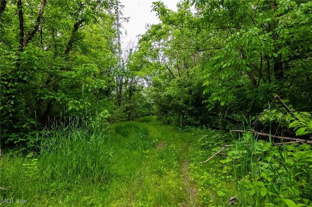 Macksburg Hill Rd, Macksburg, OH 45746 - photo 10