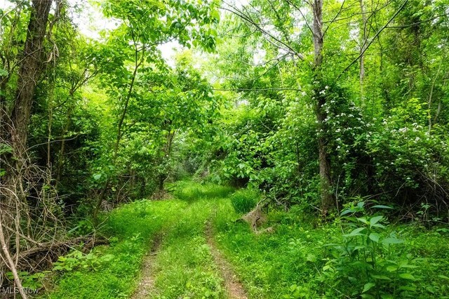 Macksburg Hill Rd, Macksburg, OH 45746 - photo 11