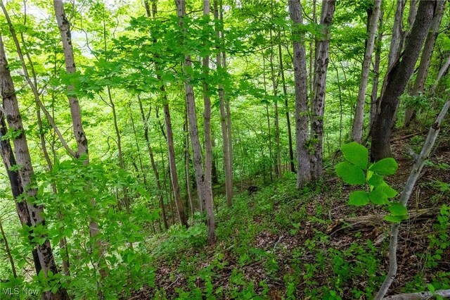 Macksburg Hill Rd, Macksburg, OH 45746 - photo 13