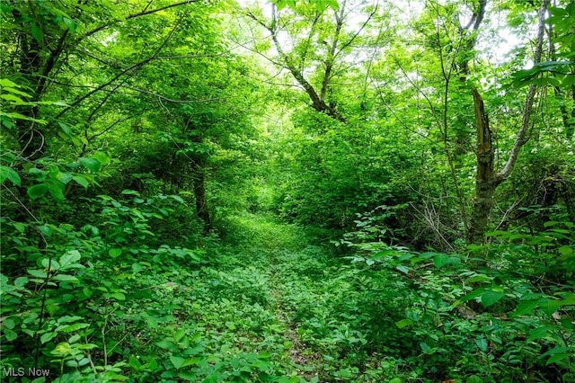 Macksburg Hill Rd, Macksburg, OH 45746 - photo 17