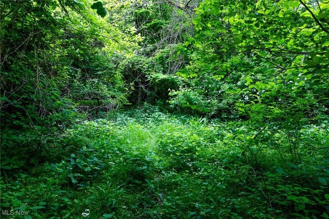 Macksburg Hill Rd, Macksburg, OH 45746 - photo 18
