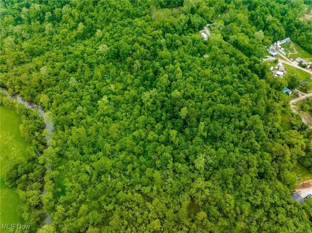 Macksburg Hill Rd, Macksburg, OH 45746 - photo 37