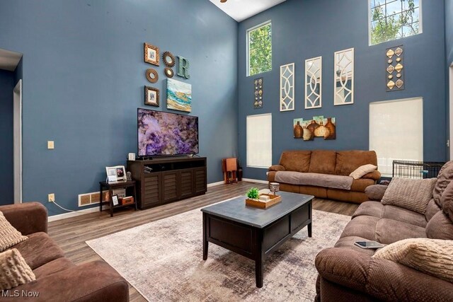1005 Penn Ct, Grafton, OH 44044 - living area with a high ceiling, wood finished floors, and a ceiling fan