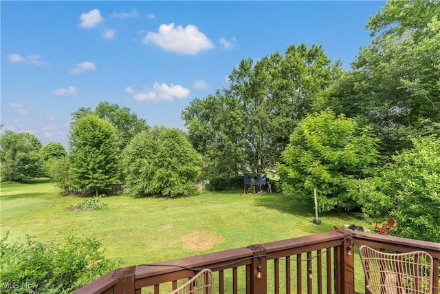 8151 Pheasant Ave NW, North Canton, OH 44720 - photo 35