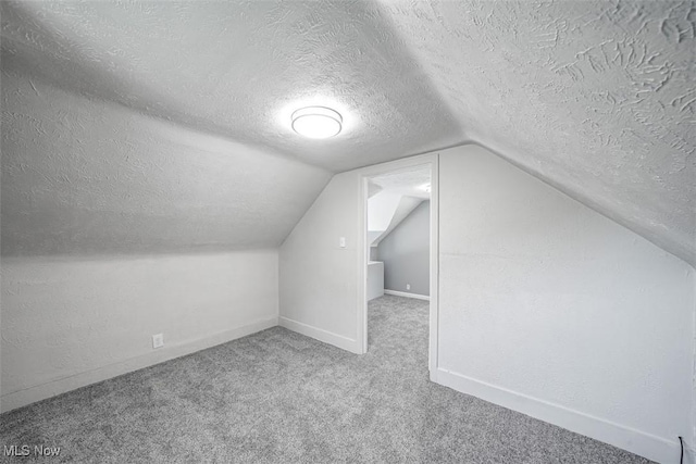 9907 Kempton Ave, Cleveland, OH 44108 - additional living space featuring a textured ceiling, carpet flooring, and vaulted ceiling