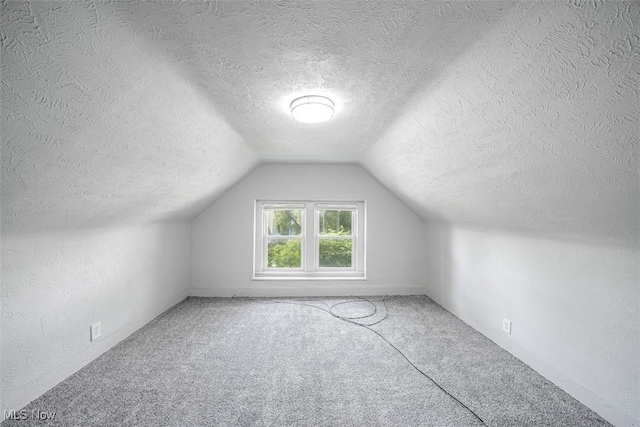 9907 Kempton Ave, Cleveland, OH 44108 - additional living space featuring a textured ceiling, carpet flooring, and vaulted ceiling