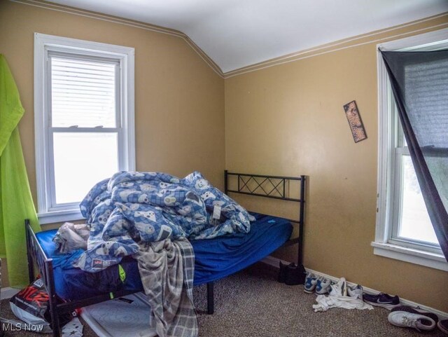 931 Yellowstone Rd, Cleveland, OH 44121 - bedroom with carpet floors, lofted ceiling, and ornamental molding