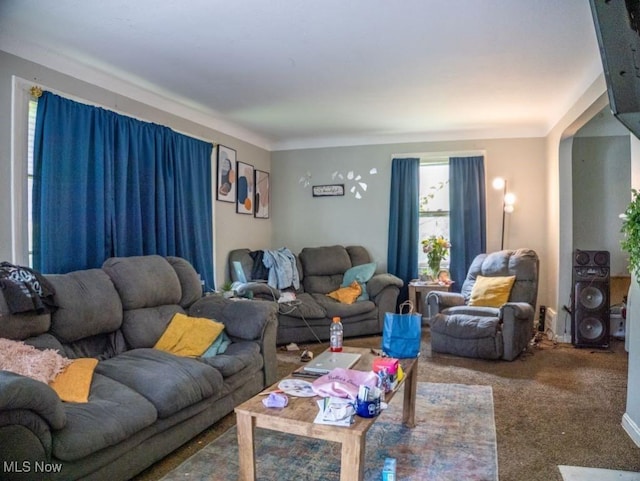 931 Yellowstone Rd, Cleveland, OH 44121 - view of carpeted living room