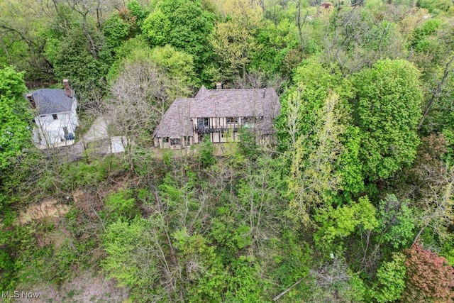 38038 Ridge Rd, Willoughby, OH 44094 - view of subject property with a forest